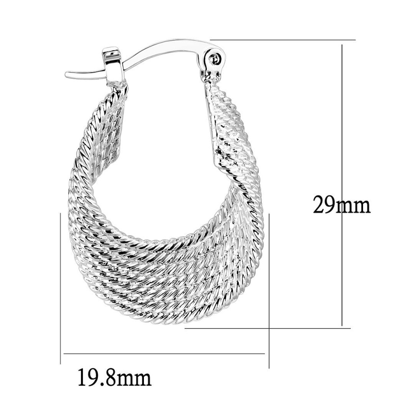 Rhodium Brass Earrings With No Stone
