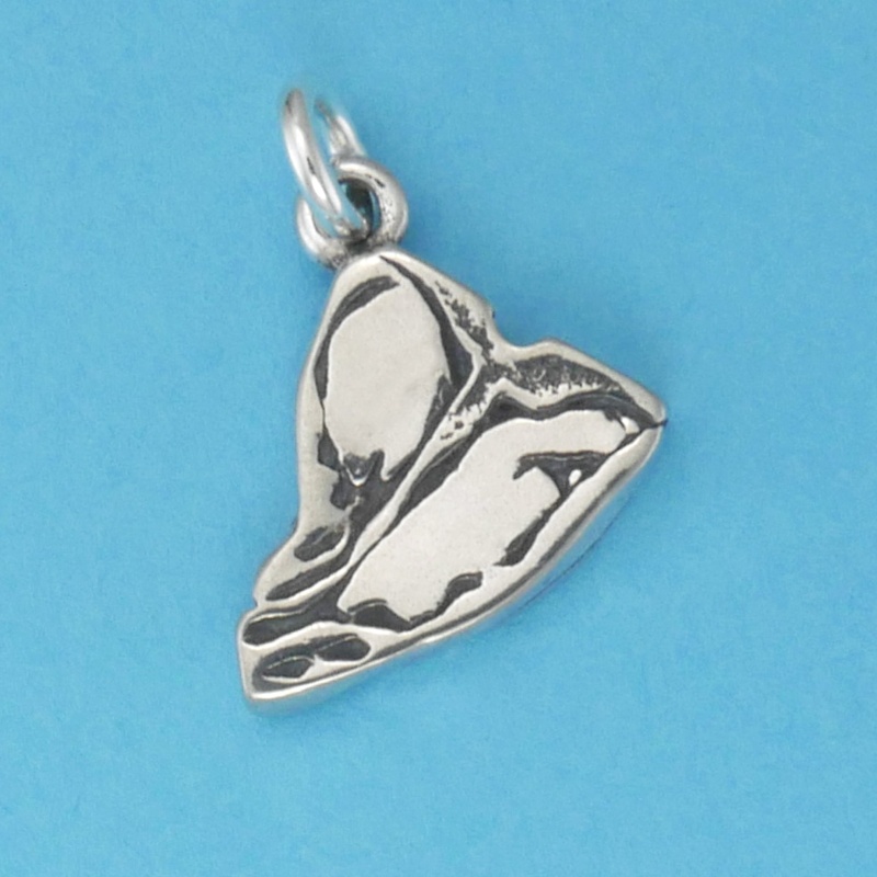 T Bone Steak Charm