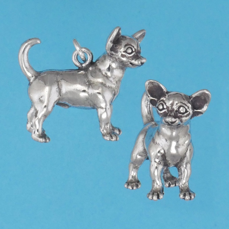 Chihuahua Charm
