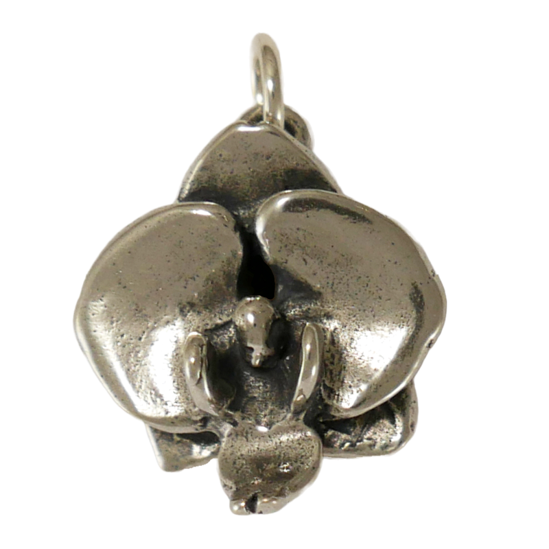 Phalaenopsis Orchid Charm