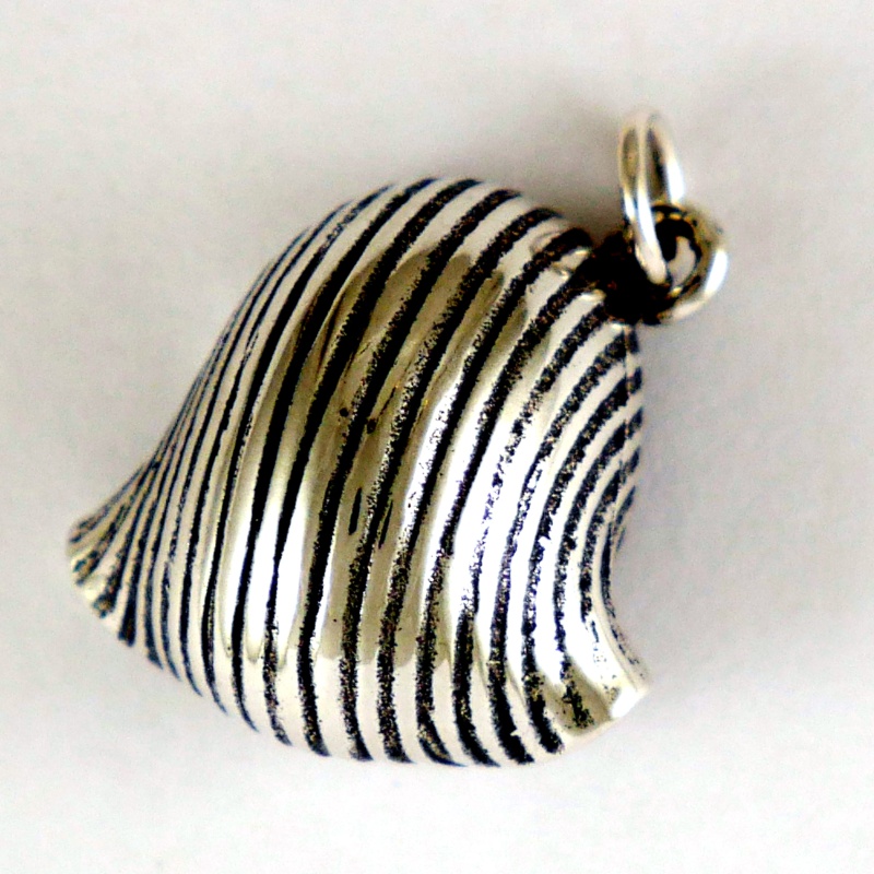 Lumache Pasta Shell