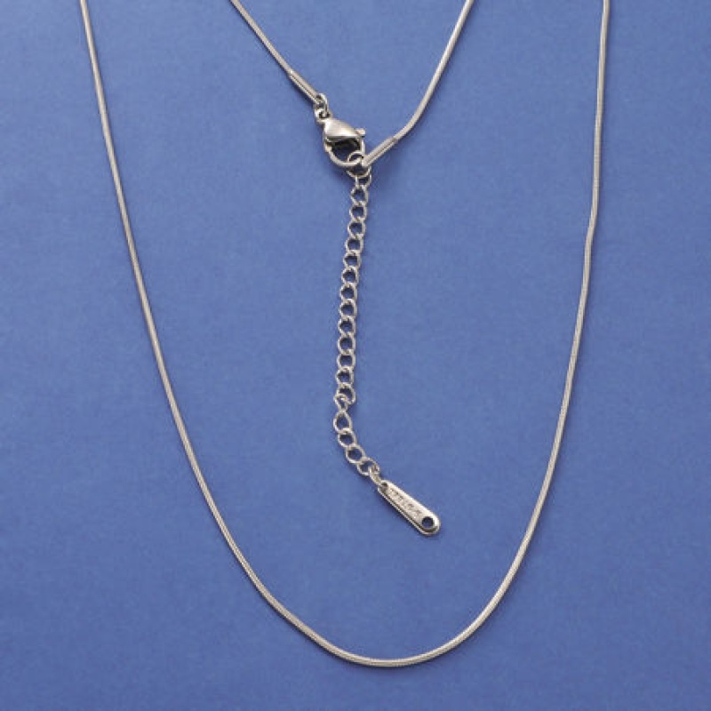 Wholesale Snake Chain Necklace, Silver Tone 304 Stainless Steel, Unisex Ins Style Minimalist Gift Jewelry For Retailer, 40Cm(15.7") Long, Chain Size: 1Mm, 1 Piece