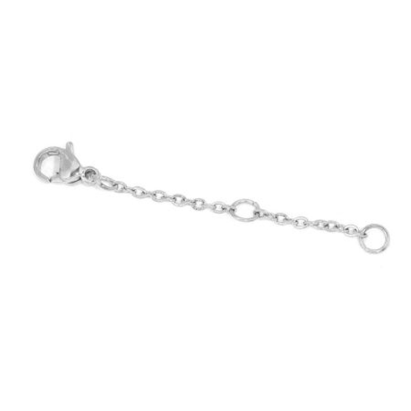 2 Pcs 304 Stainless Steel Extender Chain For Necklace Bracelet Jewelry Making Silver Tone With Lobster Claw Clasp 4Cm