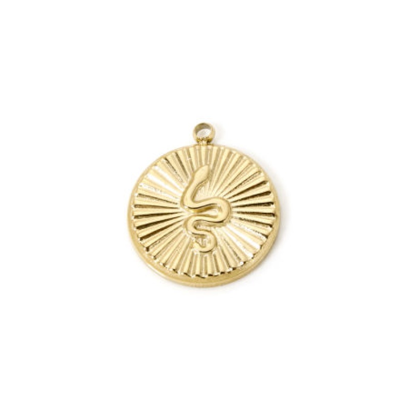 1 Piece Eco-Friendly Pvd Vacuum Plating Waterproof Anti-Tarnish Hypoallergenic 304 Stainless Steel Charms 14K Real Gold Plated Round Disc Snake 18Mm X 16Mm
