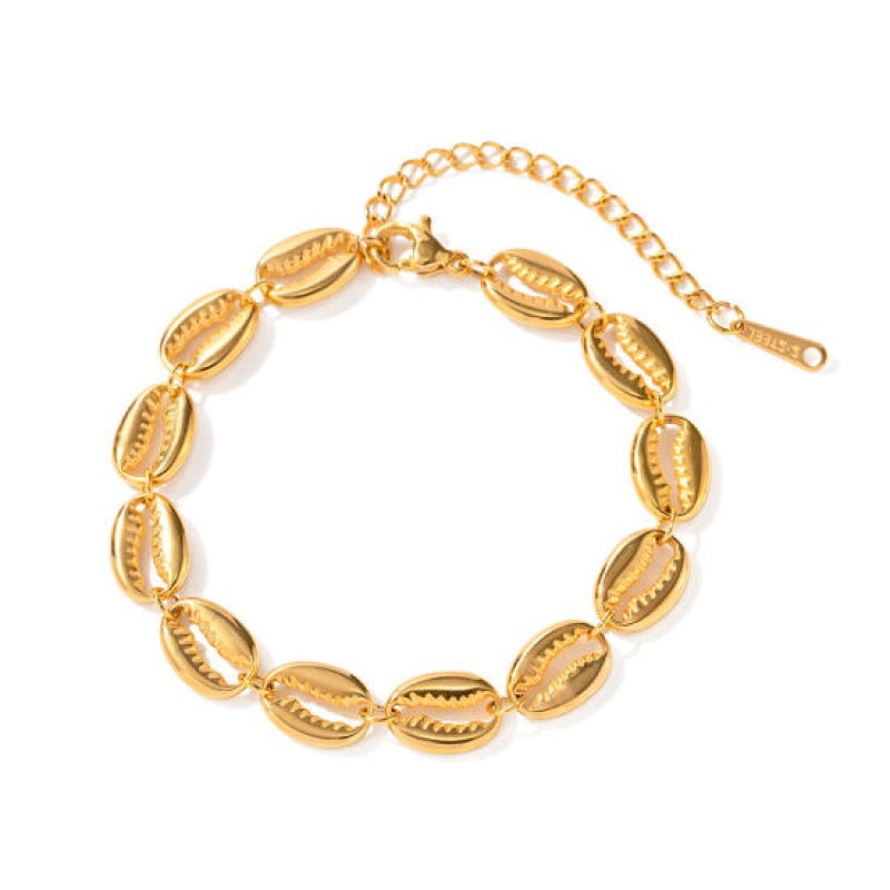 Eco-Friendly Vacuum Plating Simple & Casual Stylish 18K Real Gold Plated 304 Stainless Steel Link Chain Shell Bracelets For Women 16Cm(6 2/8") Long, 1 Piece