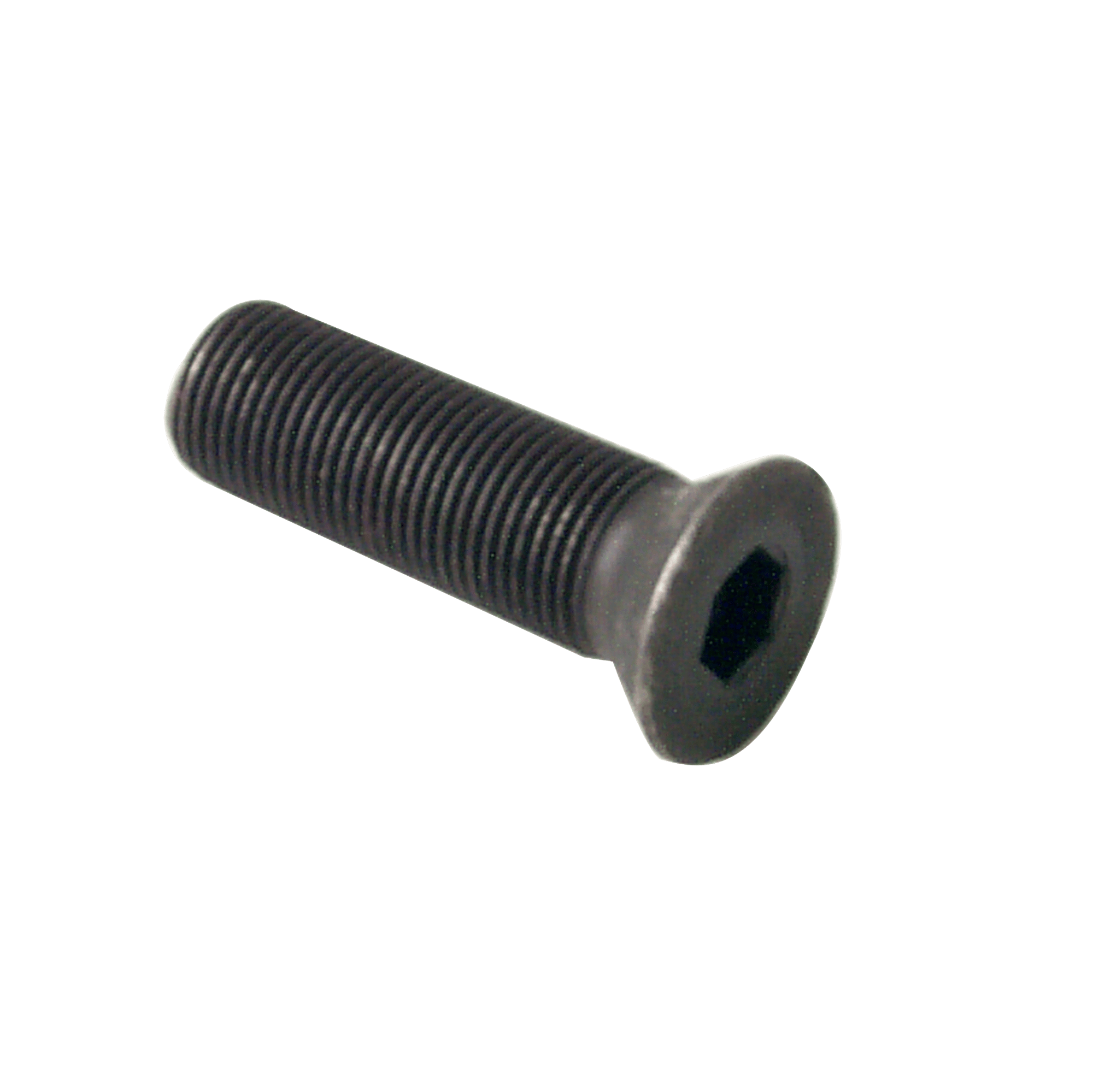 Replacement Bolt for Dumbbell Handles
