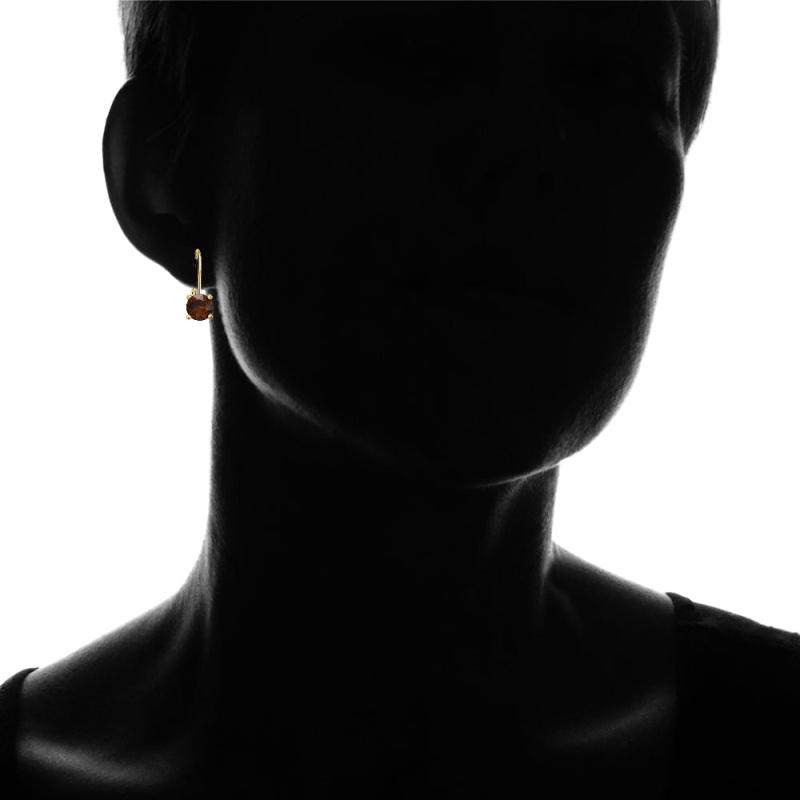 Yellow Gold Flashed Sterling Silver Garnet 6Mm Round Leverback Earrings